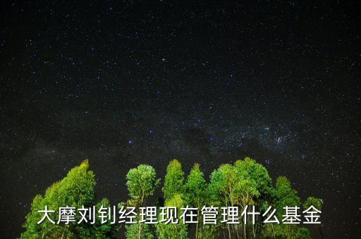 大摩劉釗經(jīng)理現(xiàn)在管理什么基金呢，大摩貨幣是哪個(gè)基金公司的產(chǎn)