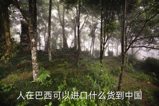 中國從巴西進(jìn)口什么，中國向巴西進(jìn)口哪些東西