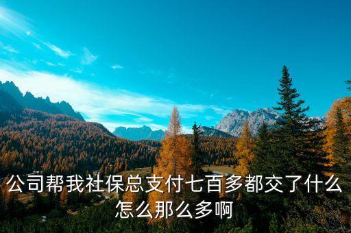 中國(guó)社保為什么交那么多，為什么社保養(yǎng)老保險(xiǎn)第二年被交要交的多