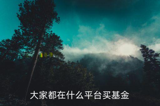 什么網(wǎng)買基金，大家都在什么平臺買基金
