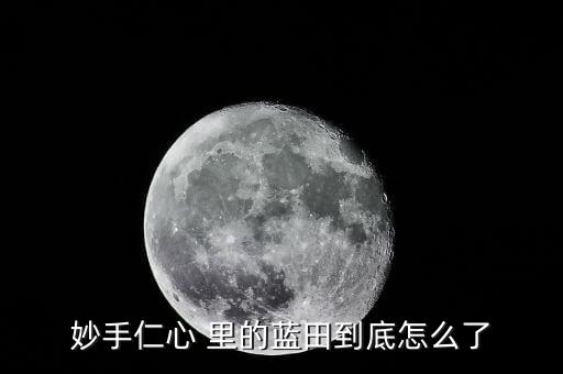 藍(lán)田為什么會(huì)破產(chǎn)，瀘州藍(lán)田濱江路為何停工了
