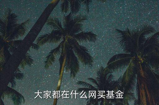 大家都在什么網(wǎng)買(mǎi)基金