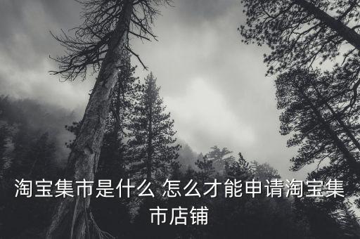 淘寶集市店鋪是什么，淘寶集市店是什么
