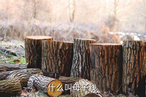什么是母子變盤(pán)線(xiàn)，周四周五兩根k線(xiàn)是母子線(xiàn)從技術(shù)上看是轉(zhuǎn)勢(shì)信號(hào)嗎