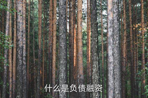 什么是負債融資，什么是負債融資
