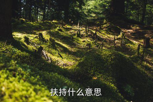 扶持力度什么意思，什么叫扶持扶持是不是等于給予呢