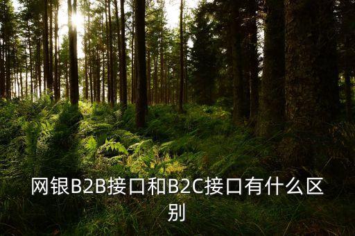 什么是經(jīng)濟組織對消費者，網(wǎng)銀B2B接口和B2C接口有什么區(qū)別