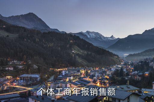 年報(bào)銷售總額是什么，全年銷售營(yíng)業(yè)收入 全年利潤(rùn)總額 全年虧損額 年末負(fù)