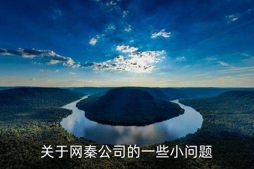 網(wǎng)秦為什么更換獨(dú)立審計(jì)，網(wǎng)秦到底怎么了