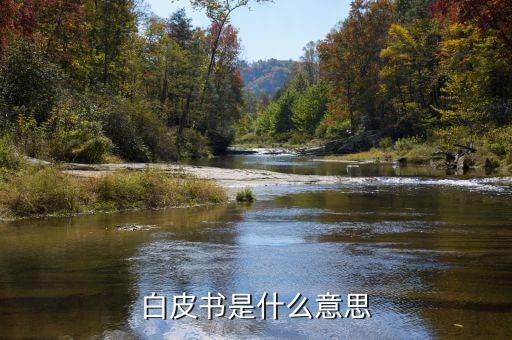產(chǎn)品白皮書(shū)是什么意思，產(chǎn)品白皮書(shū)的文檔意義