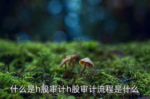 H股審計是什么意思，香港上市公司的審計與內(nèi)地審計有什么區(qū)別