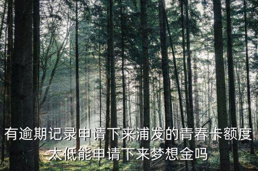 為什么青春卡夢(mèng)想金要等一個(gè)月，浦發(fā)信用卡青春卡的夢(mèng)想金是開卡就可以申請(qǐng)的還是等一個(gè)月