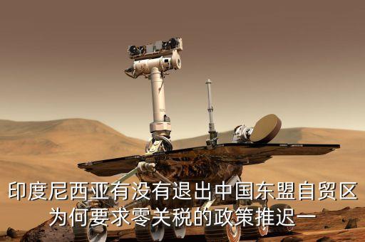 印度尼西亞有沒有退出中國東盟自貿(mào)區(qū)為何要求零關稅的政策推遲一