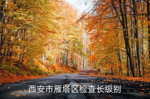 西安市正局級(jí)是什么級(jí)別，碑林分局局長(zhǎng)級(jí)別是什么級(jí)別