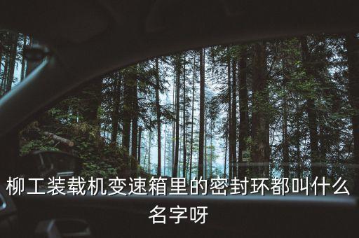柳工836使用的什么鋼圈，柳工836配用的是什么發(fā)動(dòng)機(jī)