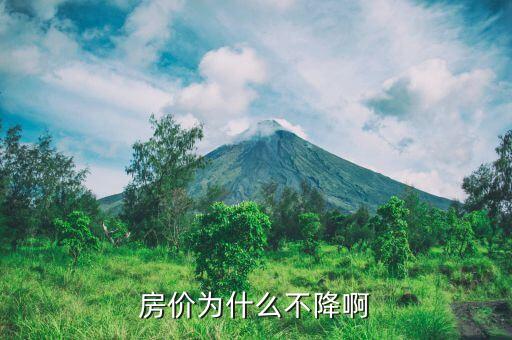 中國(guó)房?jī)r(jià)為什么不會(huì)跌，為什么很多專家斷定房?jī)r(jià)不會(huì)大跌