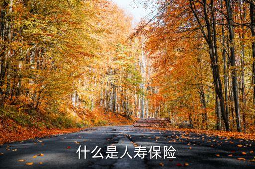 什么叫新型人壽保險(xiǎn)，什么是人壽保險(xiǎn)