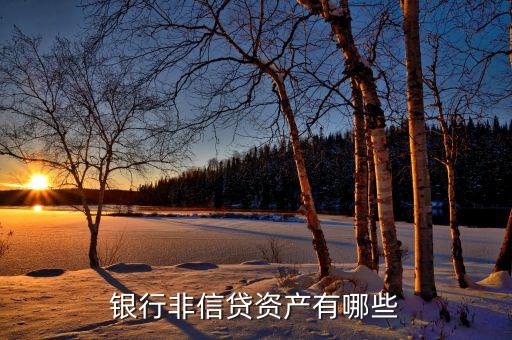 非信貸業(yè)務(wù)是什么，什么是銀行的非信貸資產(chǎn)