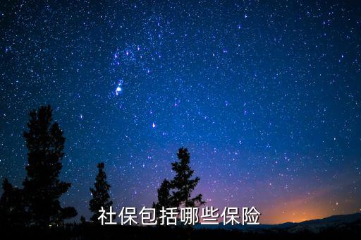 社保保險(xiǎn)保些什么，社會(huì)保險(xiǎn)包括哪些險(xiǎn)
