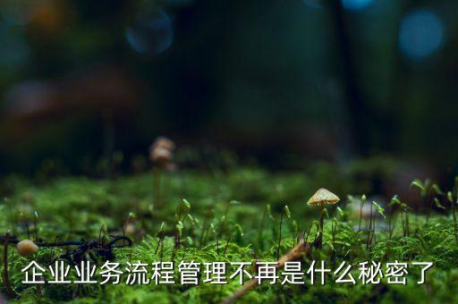 流程管理的亂象是什么，企業(yè)業(yè)務(wù)流程管理不再是什么秘密了