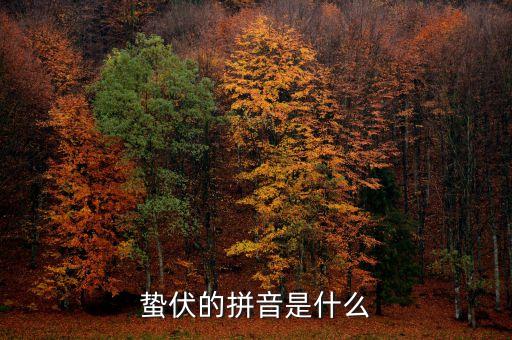 人的蟄伏期是什么，寂寂人定初中的人定是什么時候用天干地支中的回答相當