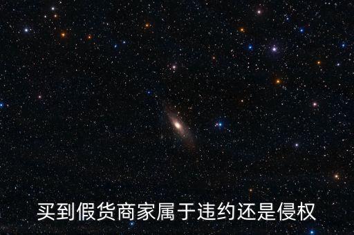 假進(jìn)口商家承擔(dān)什么責(zé)任，商家銷售假冒商品市場(chǎng)管理方要承擔(dān)多大的管理責(zé)任所在經(jīng)營地的