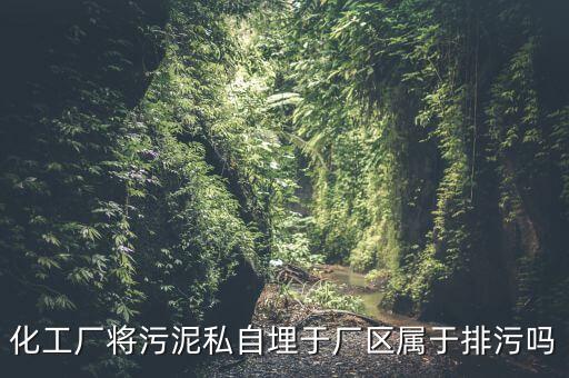 化工廠(chǎng)將污泥私自埋于廠(chǎng)區(qū)屬于排污嗎