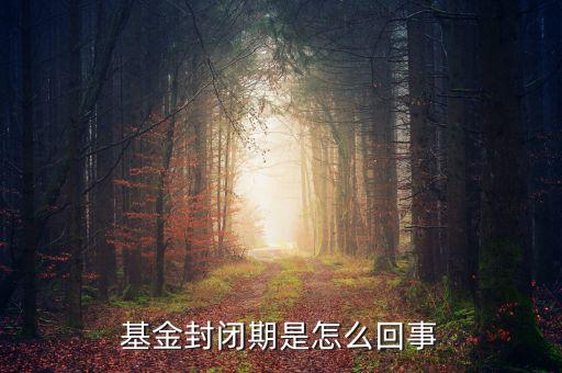 封閉式基金為什么要封閉，為什么認(rèn)購(gòu)基金要封閉期封閉期是3個(gè)月內(nèi)不得提現(xiàn)