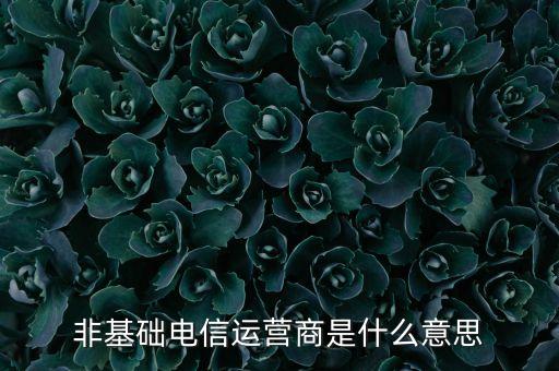 什么是基礎(chǔ)電信運(yùn)營(yíng)商，請(qǐng)問(wèn)基礎(chǔ)電信企業(yè)是不是就是指幾大電信運(yùn)營(yíng)商啊不勝感激
