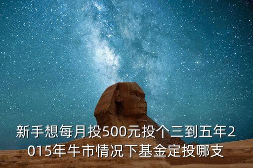 2015年新手買什么基金好，2015買什么基金比較好