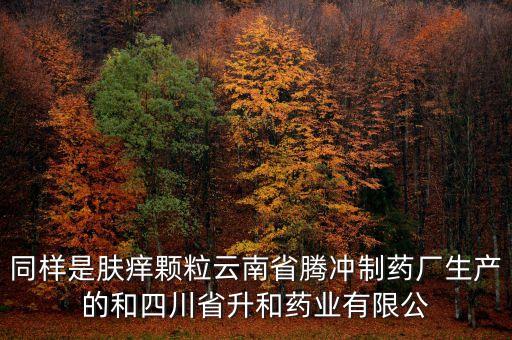 騰沖制藥廠是什么企業(yè)，云南騰沖制藥廠制造的人參再造丸