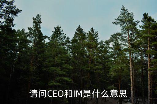 光大富尊IM是是什么，請問CEO和IM是什么意思