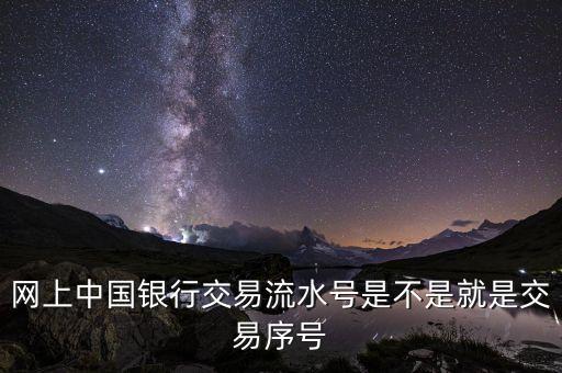 中國(guó)銀行企業(yè)網(wǎng)銀轉(zhuǎn)賬批次號(hào)什么意思，企業(yè)網(wǎng)銀客戶號(hào)是什么意思