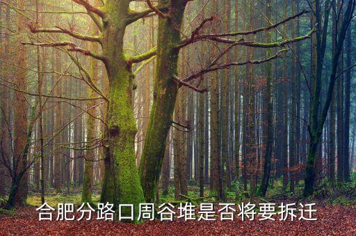 周谷堆什么時候搬遷，合肥分路口周谷堆是否將要拆遷