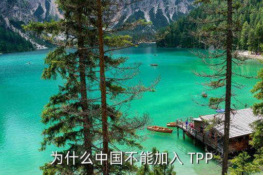 中國加入不了tpp的原因是什么，為什么中國不能加入 TPP
