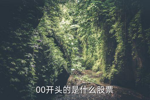 834102是什么股票，00開頭的是什么股票