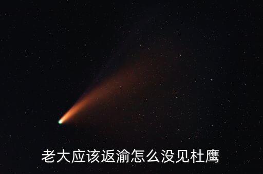 張曉強(qiáng)杜鷹為什么，發(fā)改委副主任杜鷹是誰的孩子