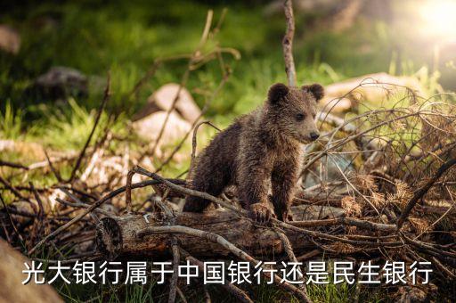 海寧光大銀行屬什么性質(zhì)，浙江海寧有光大銀行 嗎