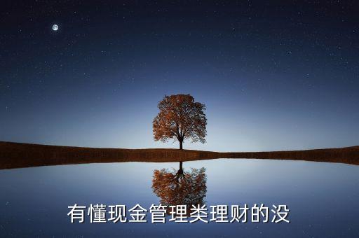 什么是現(xiàn)金管理類產(chǎn)品，簡(jiǎn)述什么是現(xiàn)金管理