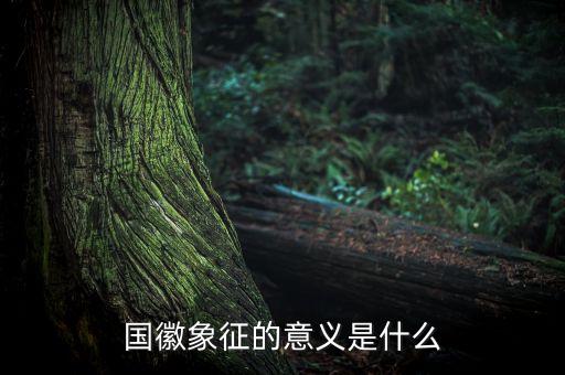 國琪意義是什么，國徽象征的意義是什么