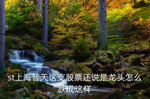 上海普天什么時間上市，st上海普天這支股票還說是龍頭怎么跌成這樣