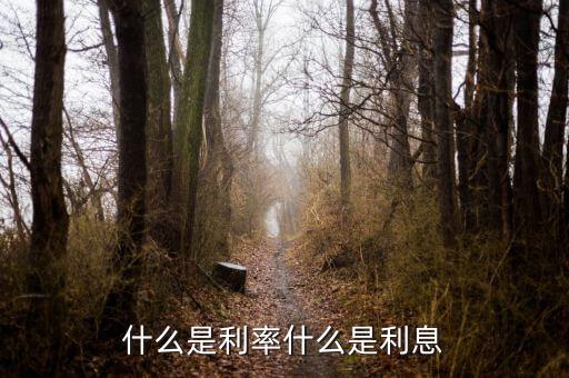 什么是利息率，什么叫利息率