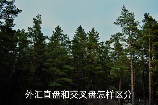 什么叫交叉盤(pán)，什么叫交叉盤(pán)hg0088誰(shuí)能跟我指點(diǎn)一下嗎