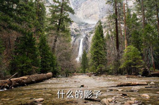 什么影子審查，什么的影子