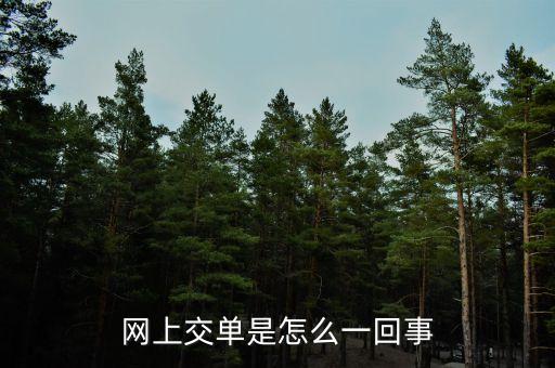 什么叫電子交單，網(wǎng)上交單是怎么一回事