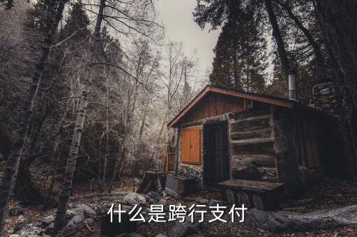 什么是跨行清算，什么叫跨行