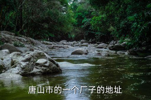 同方國芯的總部為什么在玉田縣，唐山市的一個廠子的地址