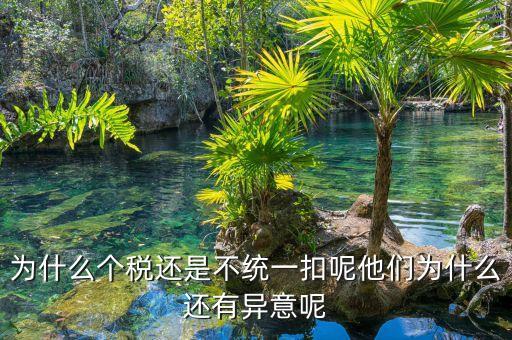 個(gè)稅為什么盲區(qū)，為什么個(gè)稅還是不統(tǒng)一扣呢他們?yōu)槭裁催€有異意呢