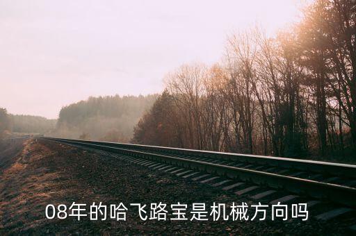 哈飛集團(tuán)用什么專業(yè)，08年的哈飛路寶是機(jī)械方向嗎