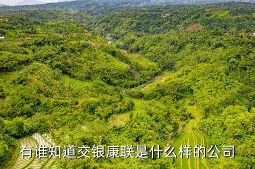 交銀康聯(lián)是什么公司，有誰知道交銀康聯(lián)是什么樣的公司
